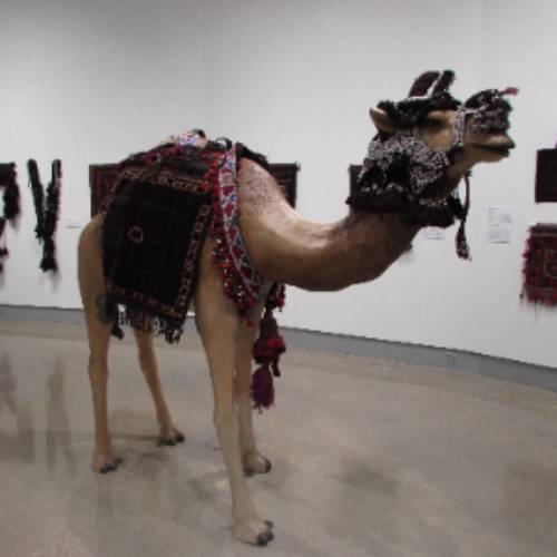 A plastic camel with textiles